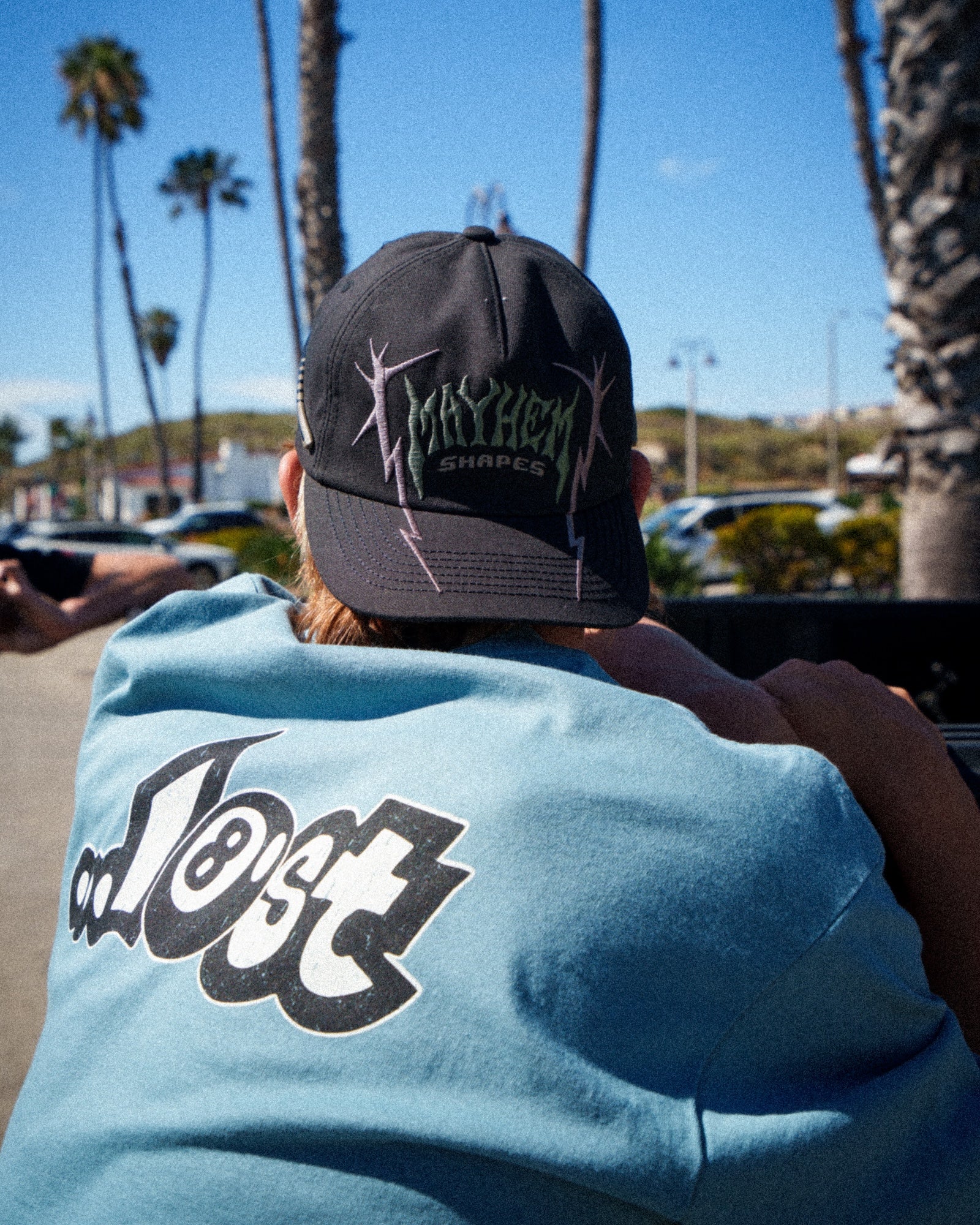 Back view with palm trees and sky